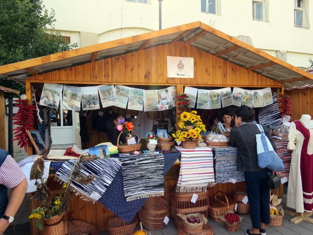 Megyei Közfoglalkoztatási Kiállítás 014